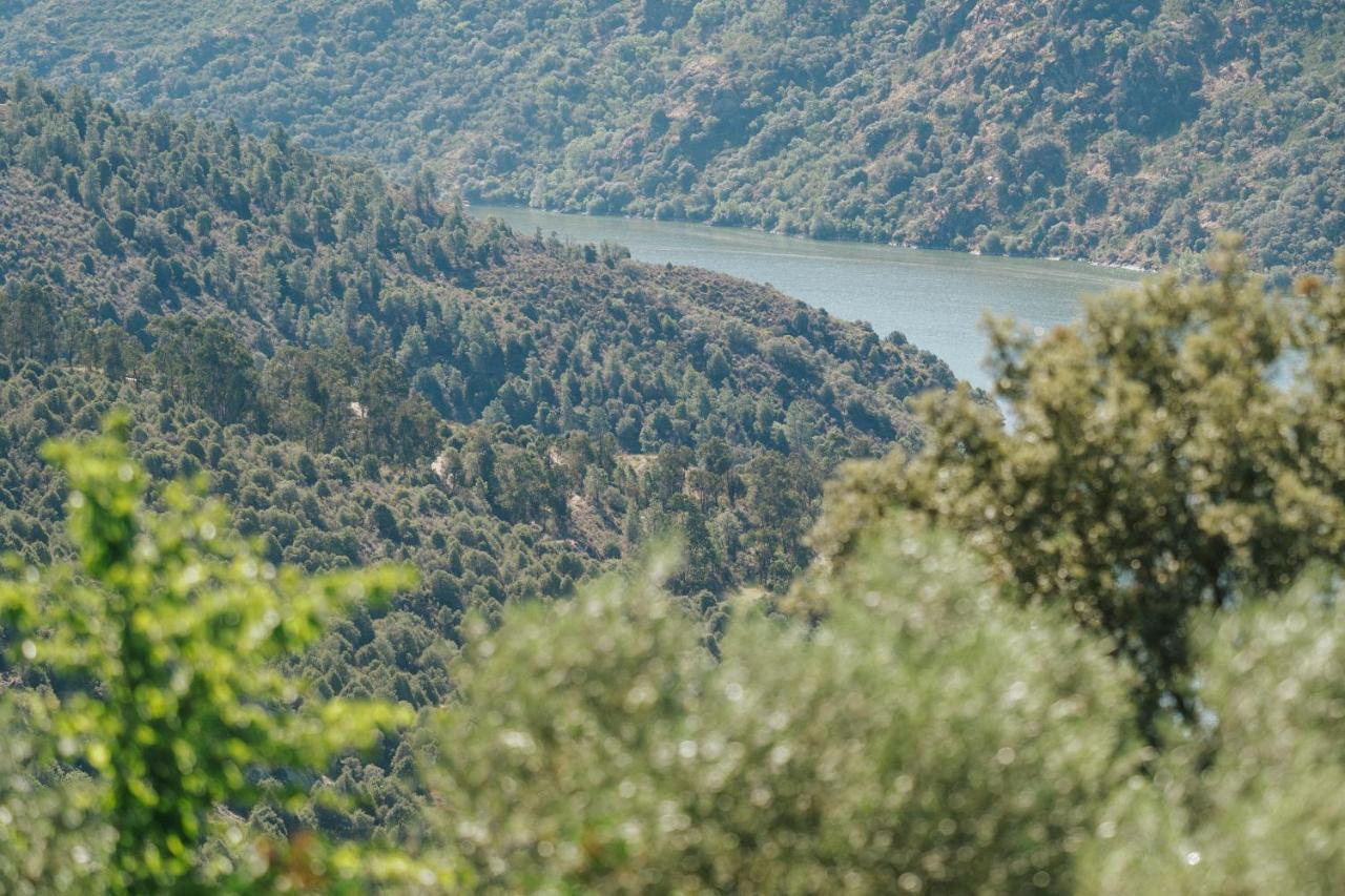 Bemposta  Casa Das Arribas - Rio Douro Aos Seus Pes المظهر الخارجي الصورة