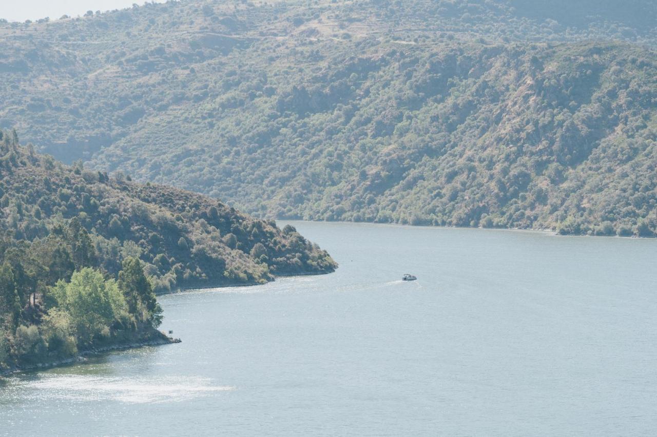 Bemposta  Casa Das Arribas - Rio Douro Aos Seus Pes المظهر الخارجي الصورة